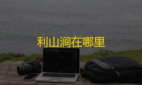 防CC网站利山涧在哪里